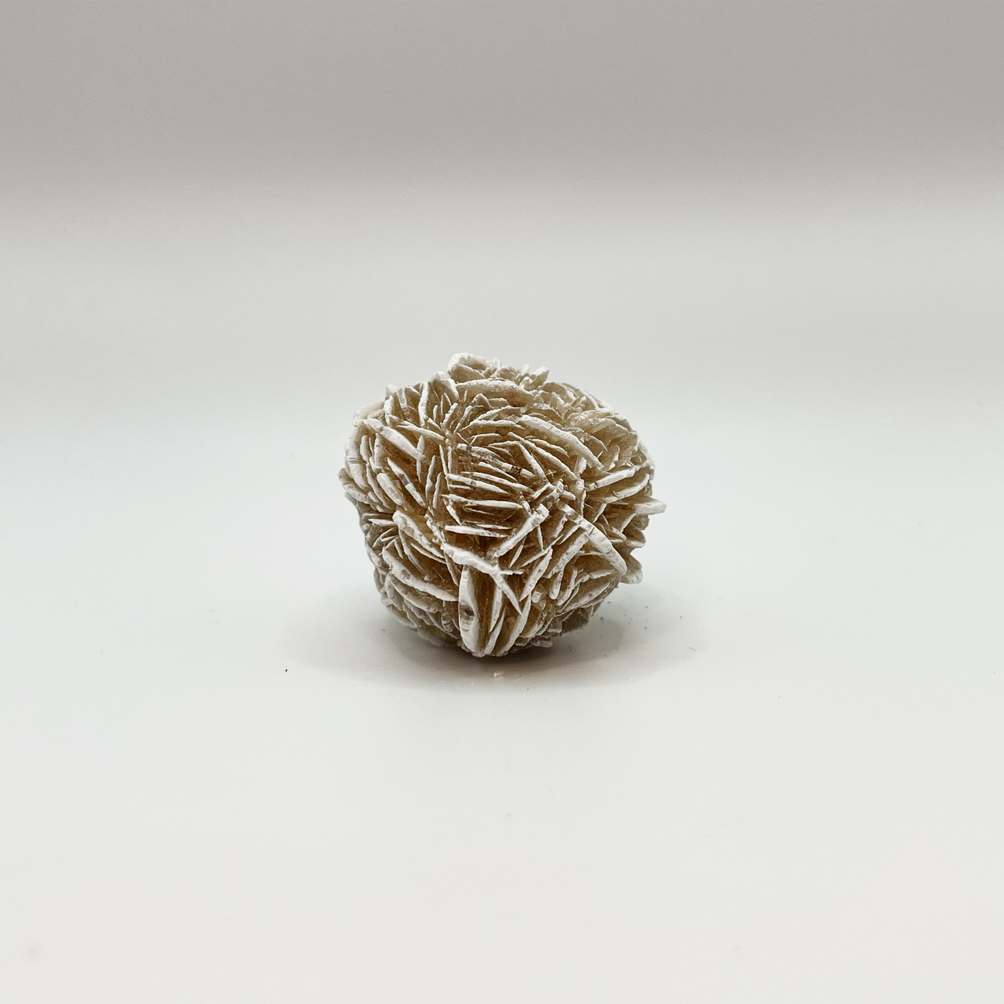 Raw Desert Rose